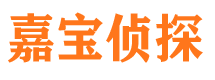 湛河侦探公司